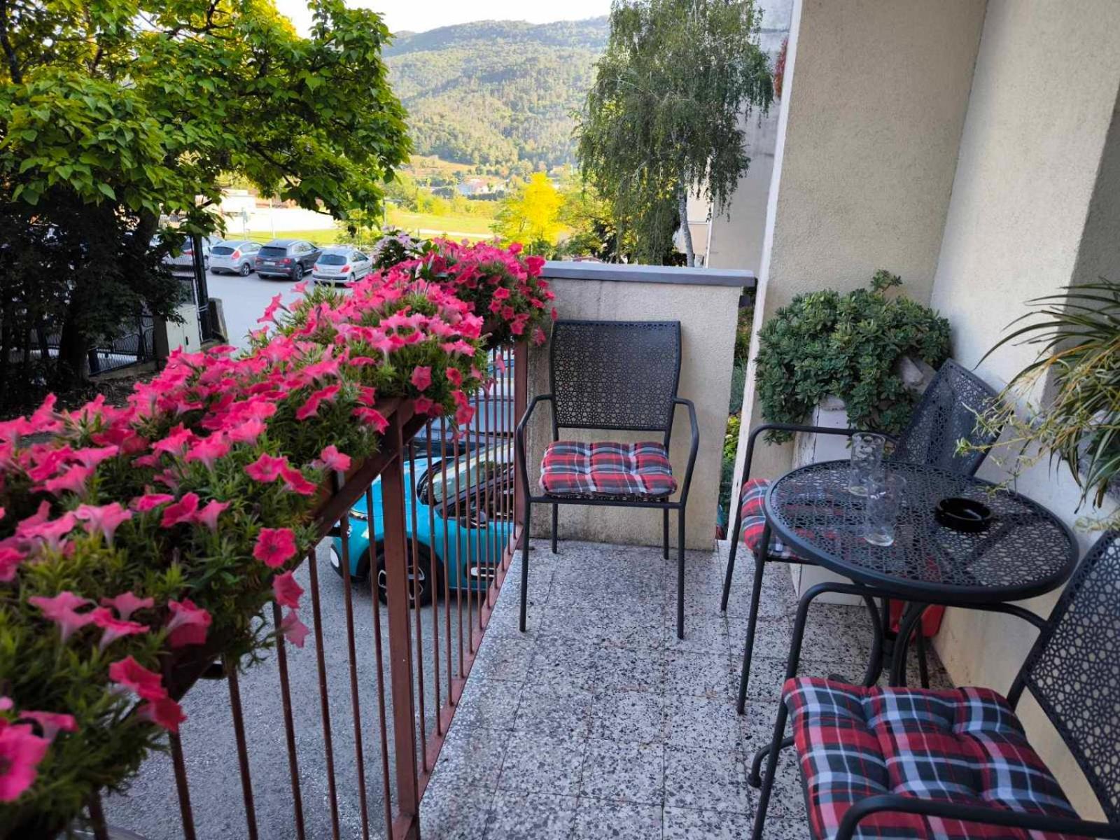 Apartman Snjeska ブゼト エクステリア 写真